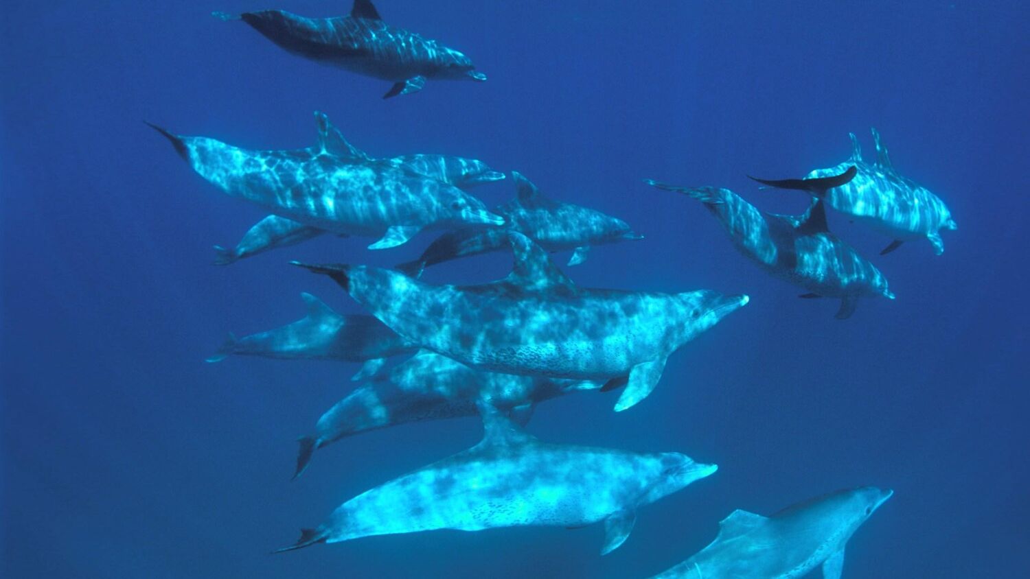 PlaceholderImage1302